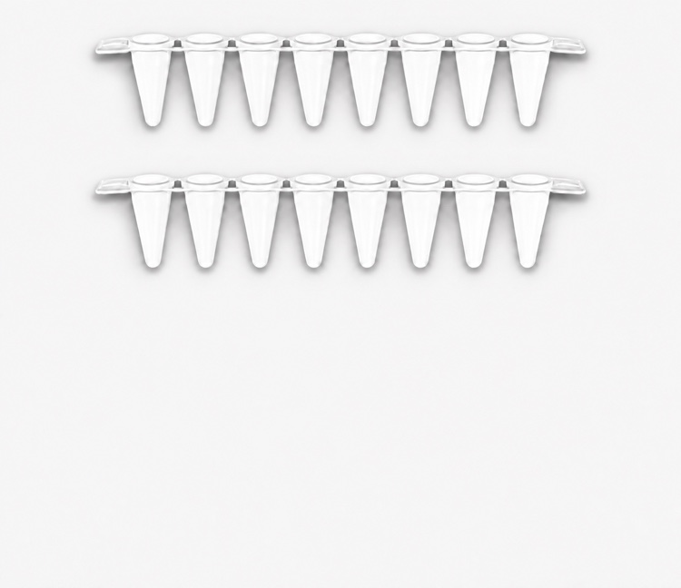 PCR 8-Tube Strips